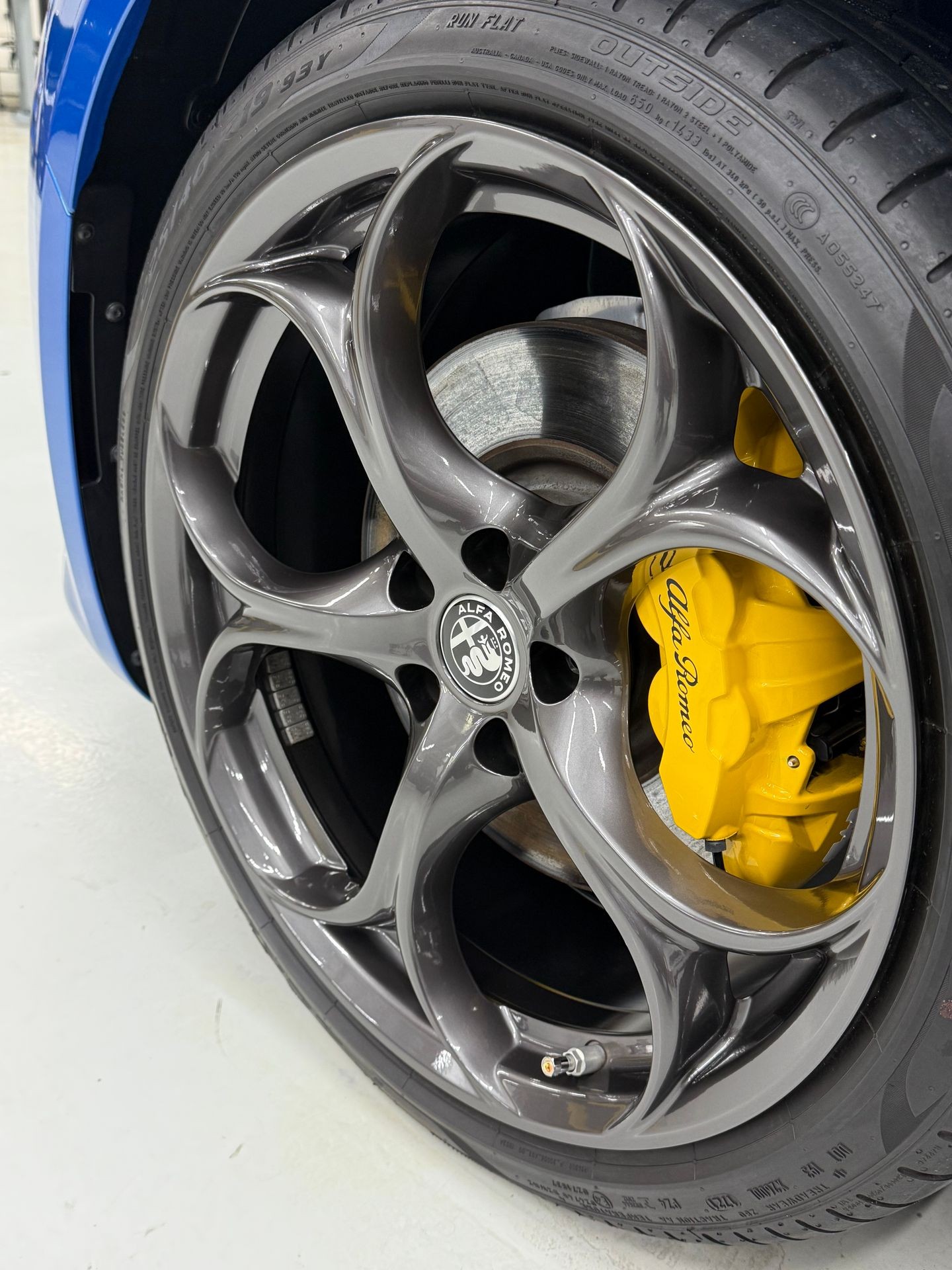 geel gespoten remklauw geel gespoten remklauw